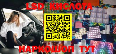 крисы Боровичи