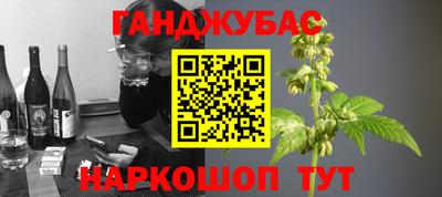 крисы Боровичи