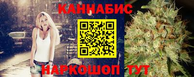 крисы Боровичи