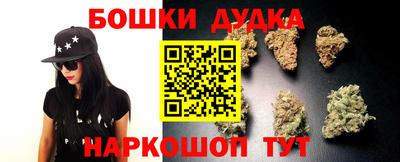 крисы Боровичи